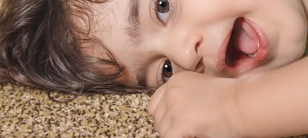 موکت ظریف مصور سیدنی