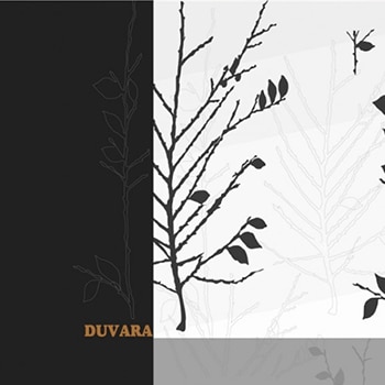 آلبوم کاغذ دیواری دووارا Duvara