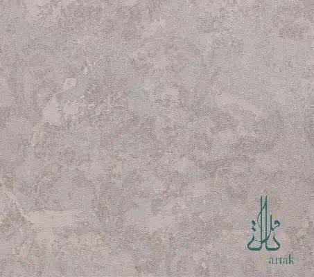 ۴۵۰۴۱