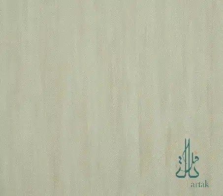 ۴۵۱۰۱