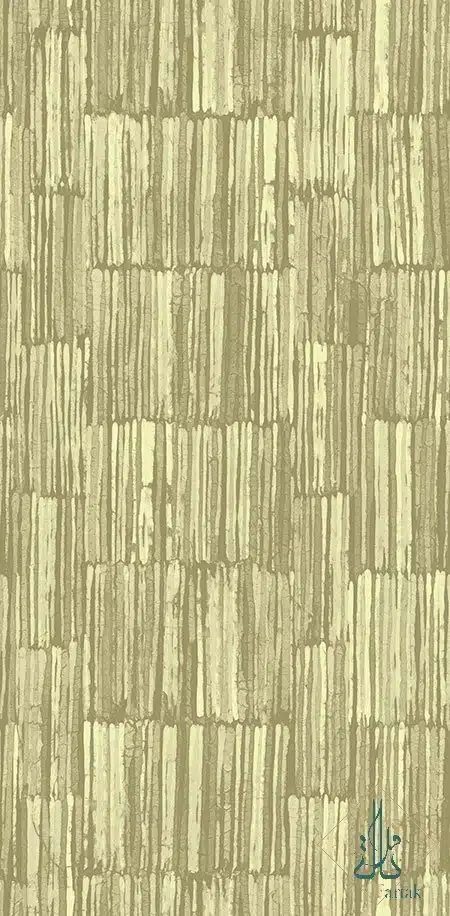 AR30207