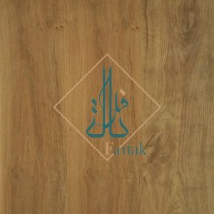 HALFETI-2017