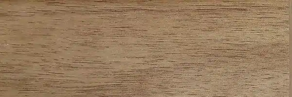 ابزار و قرنیز ASP