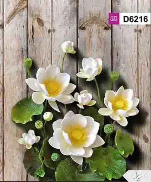 D6216
