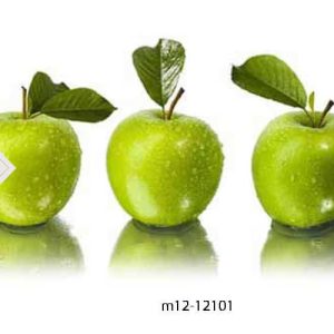 M12-12101