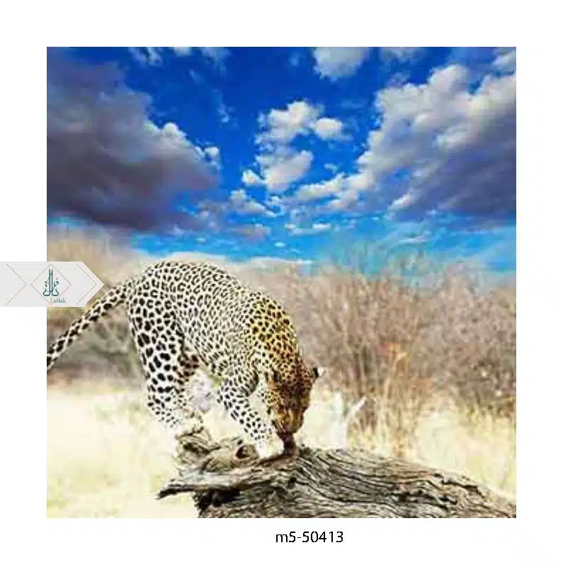 M5-50413