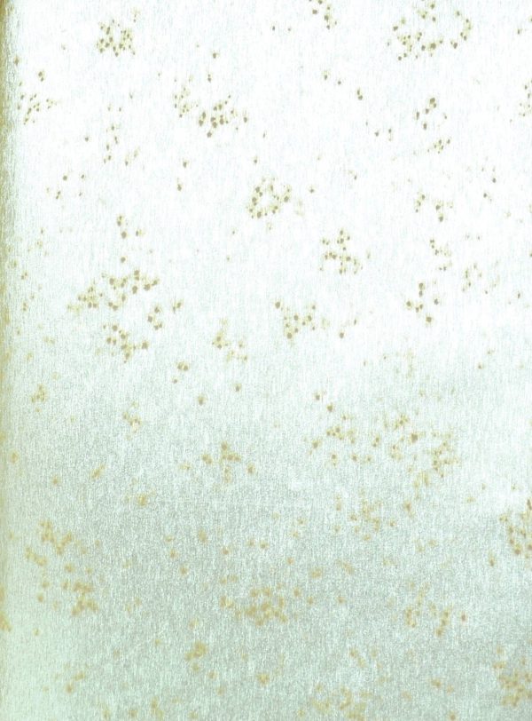 آلبوم کاغذ دیواری رویال گلد کد WM190312024