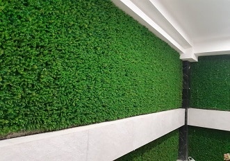 دیوار - سبز - فرتاک - دیزاین