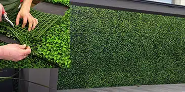 دیوار سبز مصنوعی
