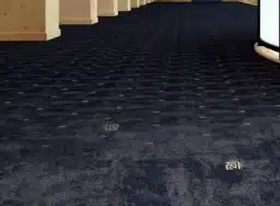 موکت ونوس