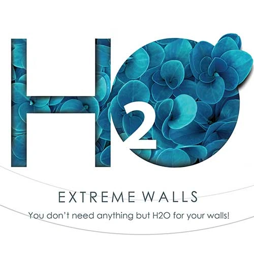 H2O