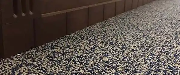 carpet-banner