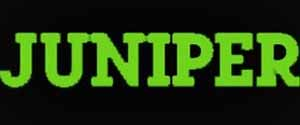 juniper-1